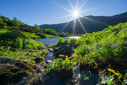 View of Rohacske plesa lake surrounded by lush green vegetation and yellow flowers under a bright sun star in the Tatra Mountains, Zuberec, Zilina Region, Slovakia.