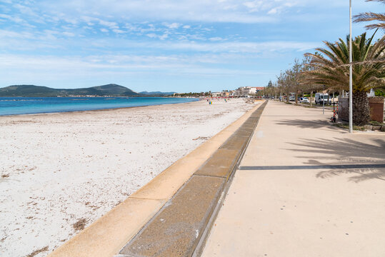 The seafront promenade with tall palm trees and the beach of Lido di San Giovanni in Alghero, Sardinia, Italy