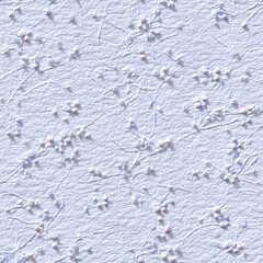 Fototapeta premium White floral embossed texture with delicate leaves, decorative pattern, elegant background, minimal design. SEAMLESS PATTERN