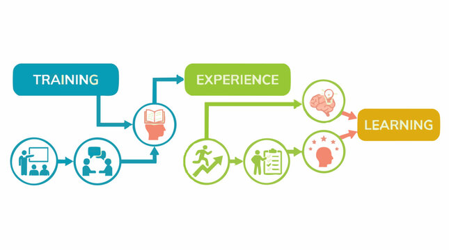 Learning Process Flowchart: Training, Experience, and Knowledge Development