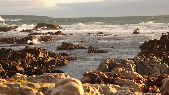sunset light over rocky coastline of DeKelders, Gansbaai, South Africa