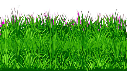Obraz premium Lush green grass with purple flowers growing on a natural field