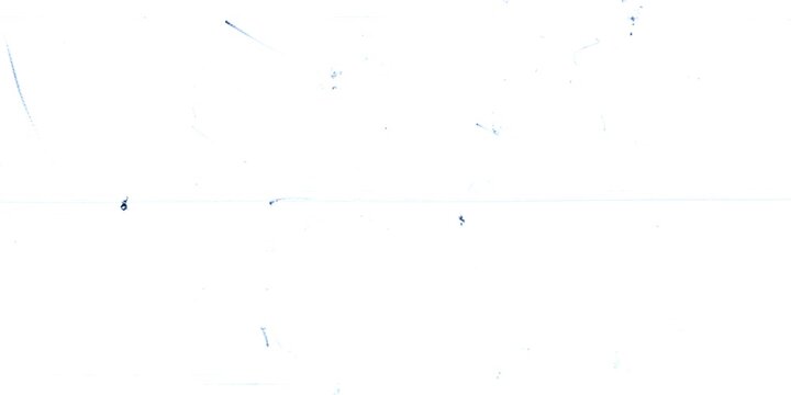 Aged film look overlay with natural dust particles and scratches.