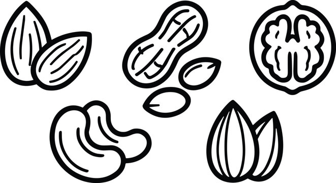 Collection of healthy nut icons including almond, peanut, walnut, cashew and hazelnut for organic food marketing and SEO content
