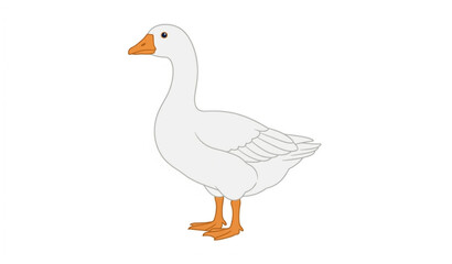 Single white goose vector isolated on white background © MdToufik