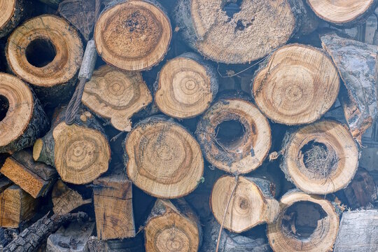 brown wood texture from heap of pine firewood against the wall in the street
