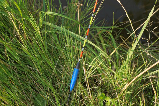 one long plastic colored fishing float lies of green vegetation in nature
