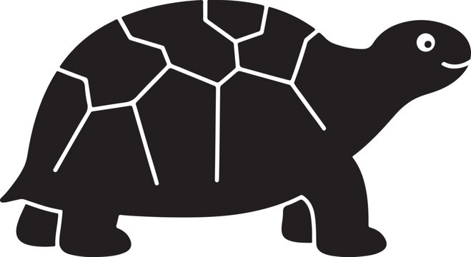 Black and white turtle illustration with geometric shell pattern