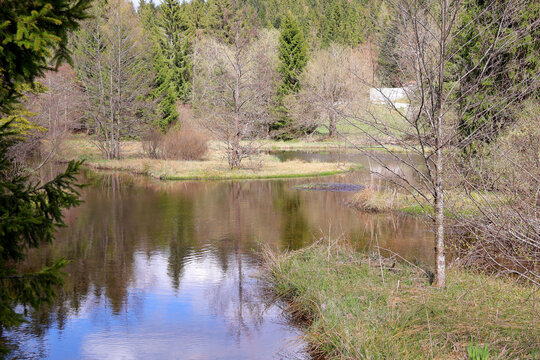 les reflets au bord du lac