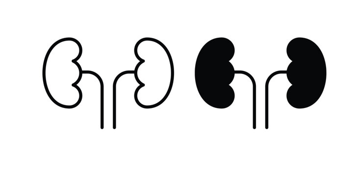 Kidney icon solid Design. Line icons for web