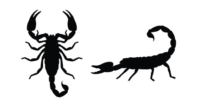 Scorpion silhouettes in two poses against a white background silhouette