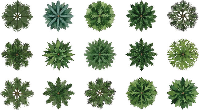Set of various green trees top view for architectural landscape design and site planning vector illustration