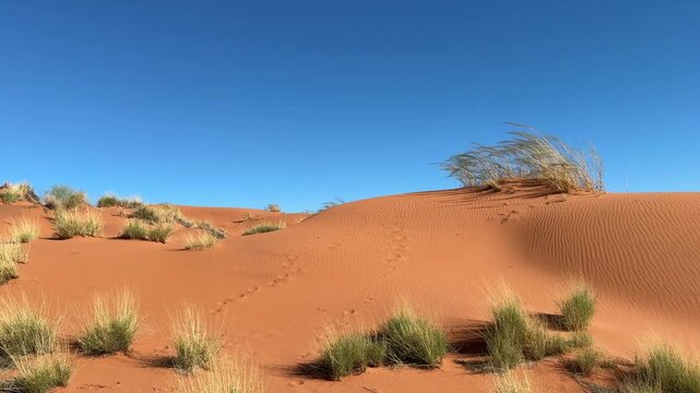 Scenic drive over red sand dunes in namib rand reserve, Namibia 