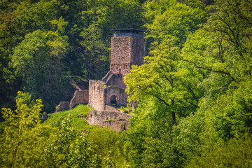 Obraz premium Ruins of castle Hinterburg, dated to 1100 and located on hills over river Neckar, district of Hesse, Germany