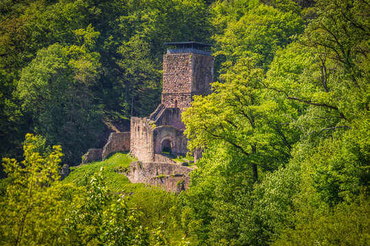 Ruins of castle Hinterburg, dated to 1100 and located on hills over river Neckar, district of Hesse, Germany