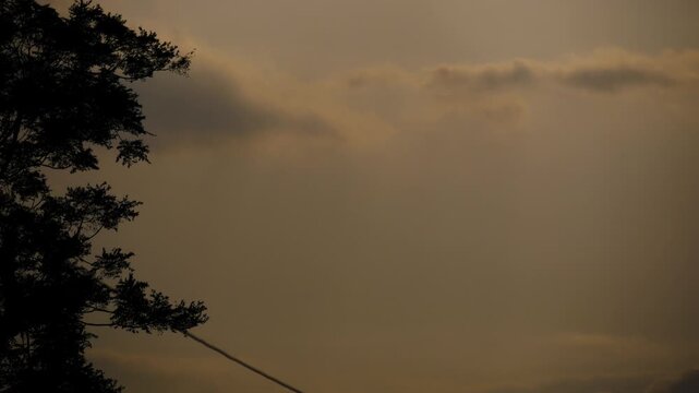 Silhouette of a Bird Flying Against a Dramatic Golden Sunset Sky with Clouds
