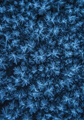 Obraz premium Abstract frosty patterns covering natural surfaces, evoking cold seasonal elegance and creative frozen beauty ,style ,solitude ,frost