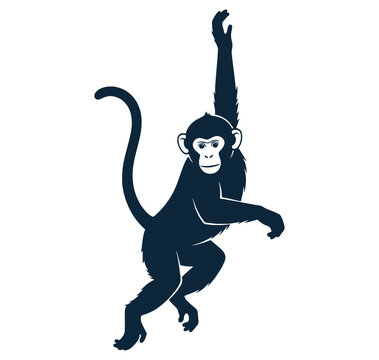 monkey in dynamic pose with one arm raised and tail curved isolated on transparent background