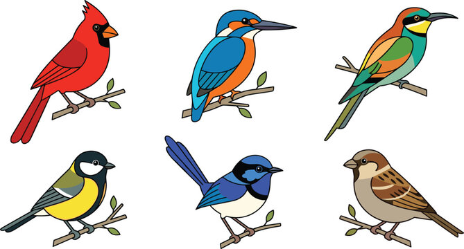 Colorful Birds Illustration Set with Cardinals, Kingfishers, Sparrows, and More for Wildlife, Nature, and Birdwatching Themes