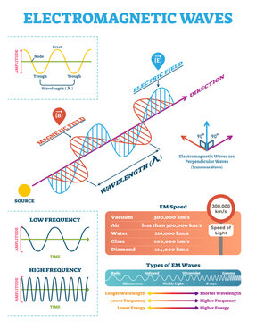Scientific electromagnetic Wave structure and parameters, illustration diagram with wavelength, amplitude, frequency, speed and wave types, transparent background.