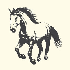 Running horse silhouette with flowing mane and tail line art stallion nostrils hindquarters silhouette illustration monochrome contrast abstract minimalist isolated background movement © bbilfunk