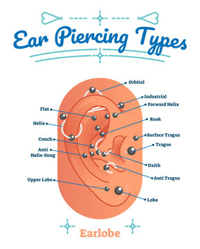 Beauty and fashion medical anatomical illustration with ear piercing types, transparent background. Pierced human earlobe closeup labeled scheme with lobe, flat, helix, conch, orbital, rook.