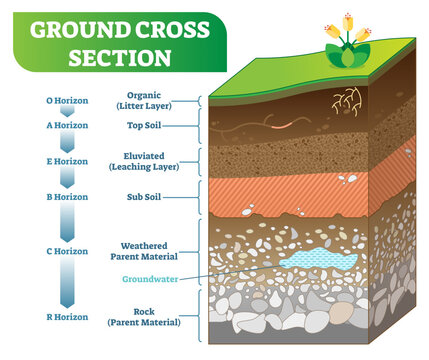 Ground Cross Section with organic, topsoil, subsoil and other horizon levels, transparent background. Geological information poster.