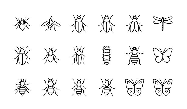 Linear insects icons set with spider mosquito dragonfly cockroach and caterpillar outline vector illustrations