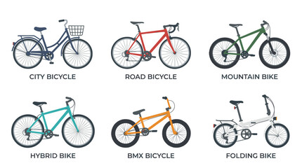 Fototapeta premium Bicycle Types Flat Vector Icon Set