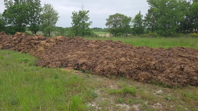 Un tas de fumier pr&ecirc;t &agrave; &ecirc;tre &eacute;pandu dans un champ agricole.
