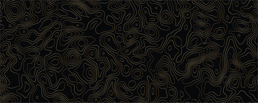 Thin gold contour lines forming an abstract topographic map pattern on a solid black background with organic flowing shapes and wavy interconnected lines in a repeating geometric texture