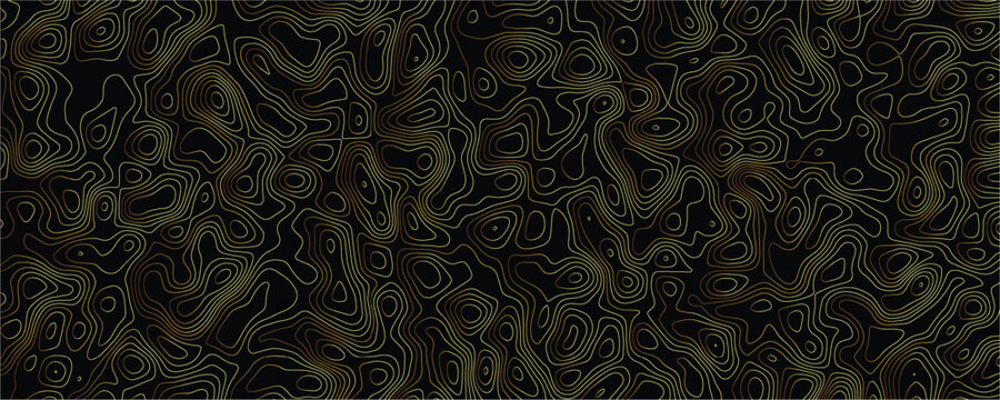 Gold topographic contour lines forming an abstract flowing pattern on a solid black background with intricate organic shapes and repeating wavy lines creating a textured depth effect
