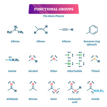 Functional groups illustration, transparent background. Chemical formula reaction explanation model list. Educational chain organic chemistry syntheses with substituents.