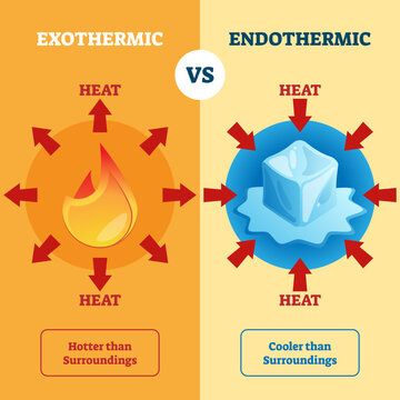 Exothermic and Endothermic illustration, transparent background. Labeled educational scheme with burning and melting physical process explanation. Diagram with surrounding heat absorption.