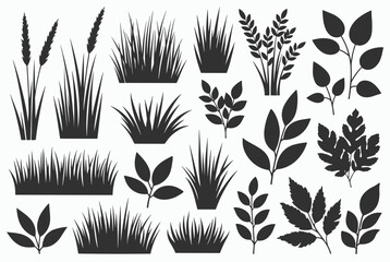Fototapeta premium Extensive collection of detailed black silhouettes representing various types of wild garden grass and deciduous tree foliage leaves.