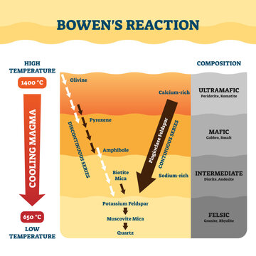 Bowens reaction illustration, transparent background.Labeled petrology work explanation scheme.Educational diagram with cooling magma and composition process.