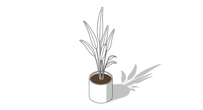 Potted plant with long green leaves and soil in grey ceramic container shown in isometric perspective for home decor design.