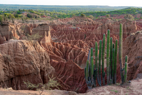 Colombia, the Tatacoa desert or Valley of Sorrows in the South-west. 