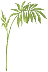 Obraz premium Vintage round green leaves on branch illustration hand-painted with gouache