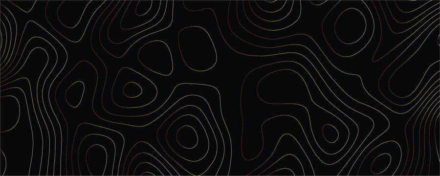 Gold topographic map contour lines forming a leaf silhouette on a solid black background with flowing organic shapes and metallic gradient strokes