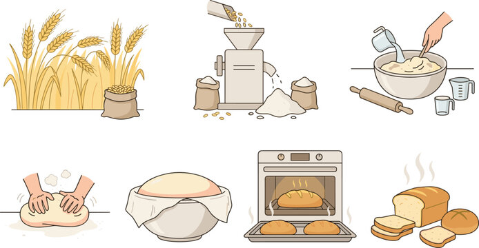 Illustration of Wheat Milling and Bread Making Process from Grain to Oven for Baking and Culinary Projects