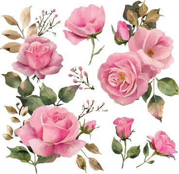 pink roses seamless pattern