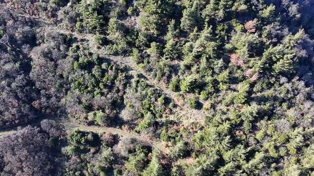 Forested Canyons of Bozdag Mount Tmolus in Manisa Turkey Ancient Lydian Sardis Birgi Heritage
