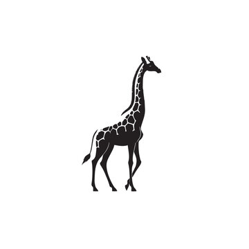 Giraffe silhouette, Walking, Standing, Vector illustration, Nature silhouette, Zoo animal, Giraffe eating, Wild anmal