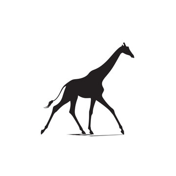 Giraffe silhouette, Walking, Standing, Vector illustration, Nature silhouette, Zoo animal, Giraffe eating, Wild anmal