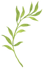 Fototapeta premium Vintage light green leaf branch illustration hand-painted with gouache