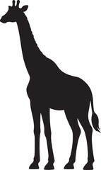 Obraz premium camel vector