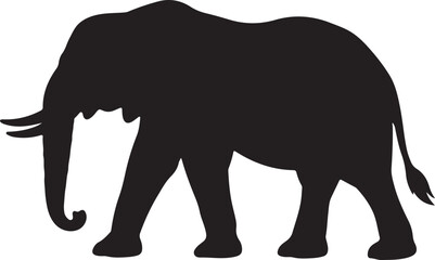 Fototapeta premium elephant vector