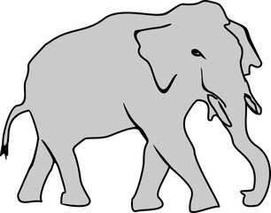 Fototapeta premium Elephant Illustration with Hand-Drawn Sketch Style