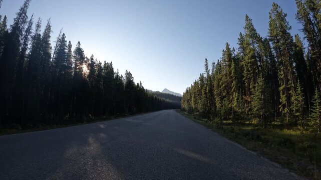 POV from the front of a vehicle while driving along a deserted northern park road as the sun flashes through the trees
